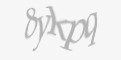 Қорғаныс коды